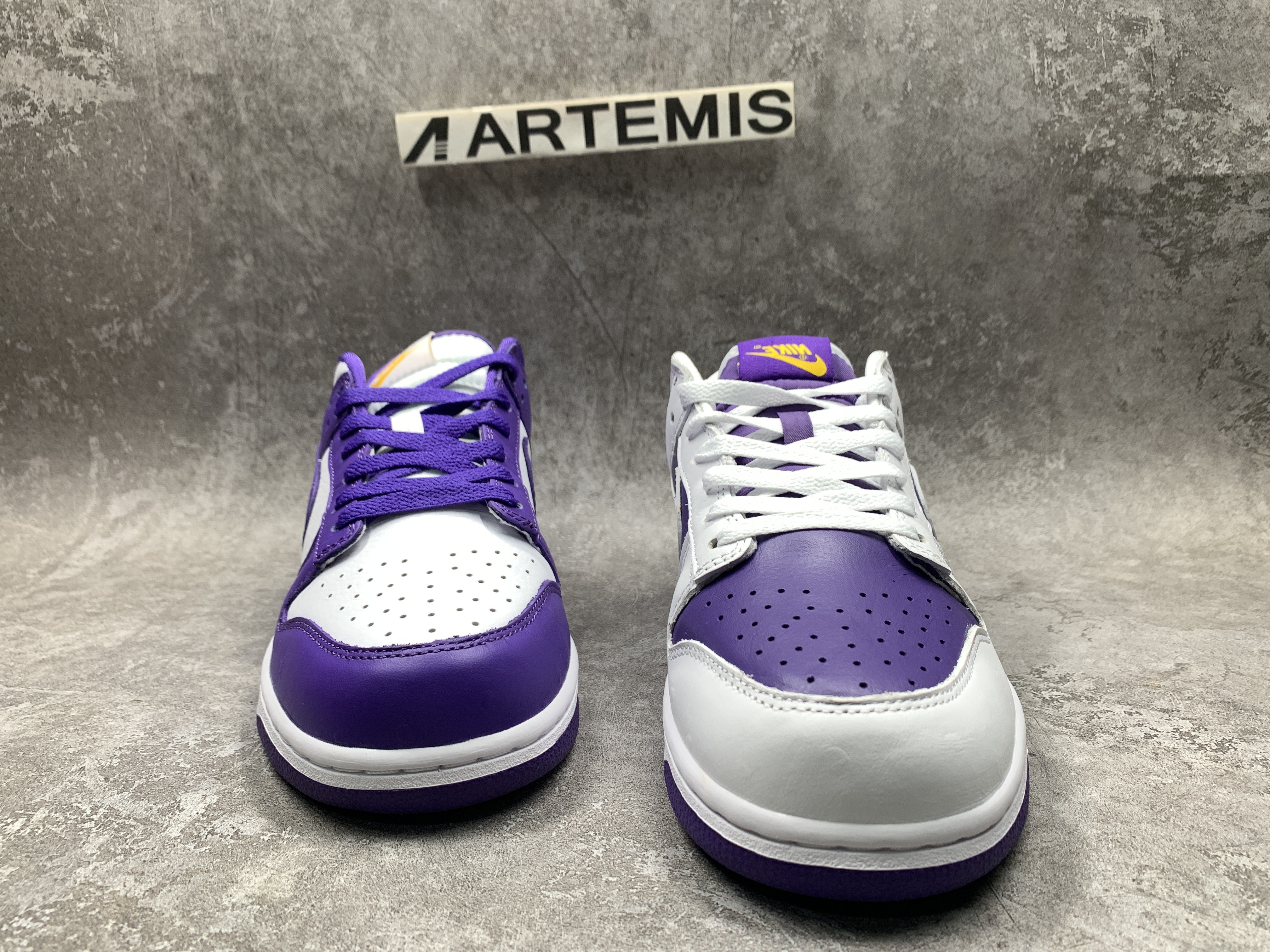 Nike Dunk Low Flip the Old School